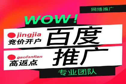 百度竞价推广代运营成功案例解读